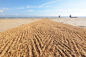 Chemins d'accès coco