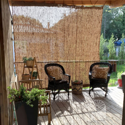 Coqueiros e quebra-ventos - Coco Classique