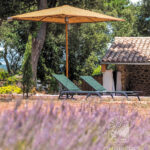 Parasol rectangulaire coco