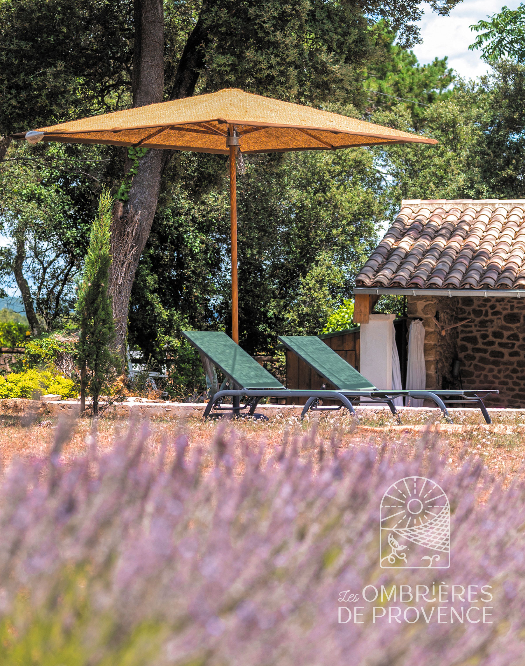 Les Parasol Déporté De Action | TikTok, image size:1800x2282