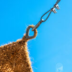 Fijar una sombrilla de fibra de coco con un mosquetón