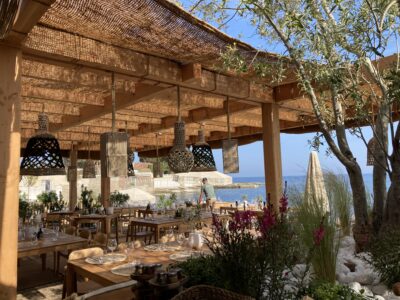 Coco Robusta ultra-dense - Terrasses de restaurants, hôtels, plages privées, bars de plage