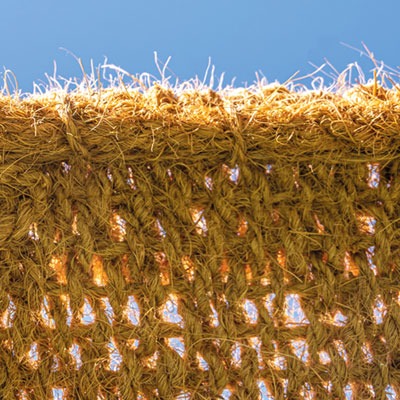 Ombrière coco Robusta