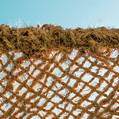 Ombrière sur le marché bas de gamme