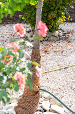 Jardin-Protéger les troncs d'arbre avec des chutes en fibre de coco naturelle