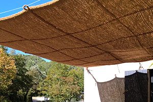 Coco Robusta à suspendre